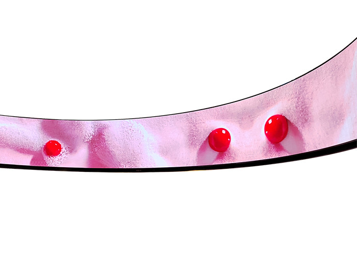 Inner Arc LED Display P4mm Curved LED Screen Soft LED Video Wall